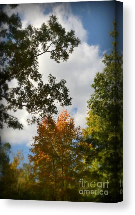 Autumn Canvas Print featuring the photograph Touch of Autumn by Miriam Danar