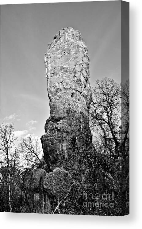 Roxborough State Park Canvas Print featuring the photograph Towering Rock by Cheryl McClure