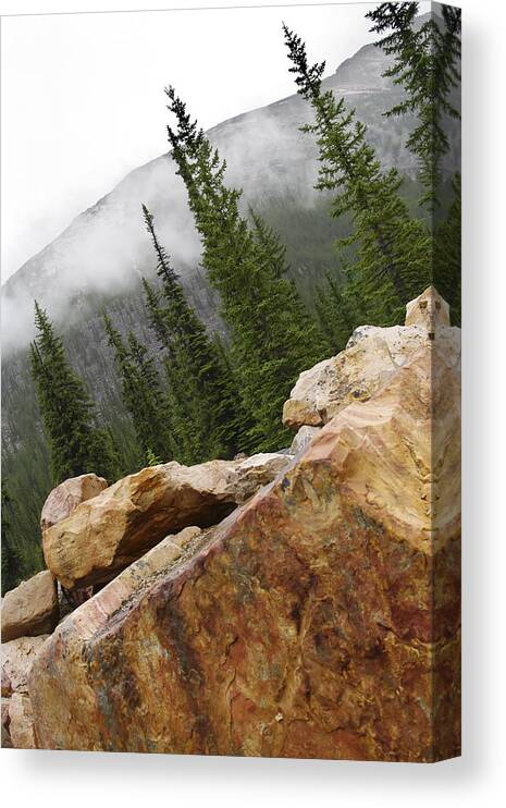 Photograph Canvas Print featuring the photograph Transition by Rhonda McDougall