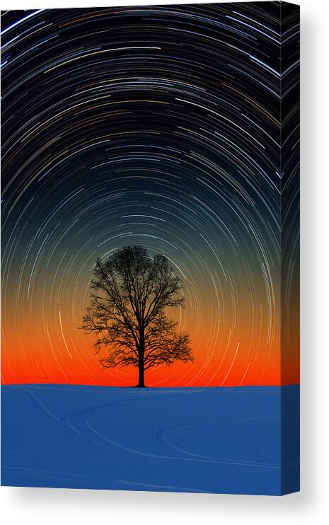 Silhouette Canvas Print featuring the photograph Tree Silhouette With Star Trails by Larry Landolfi