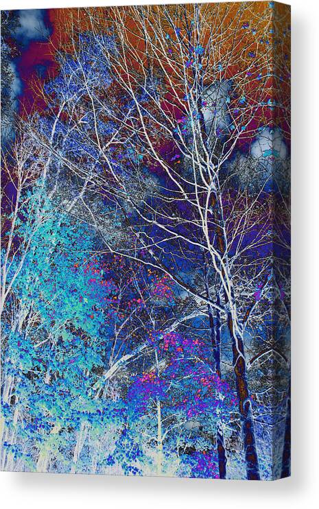 Landscape Canvas Print featuring the photograph Trees Alive With Color by Paul Szakacs