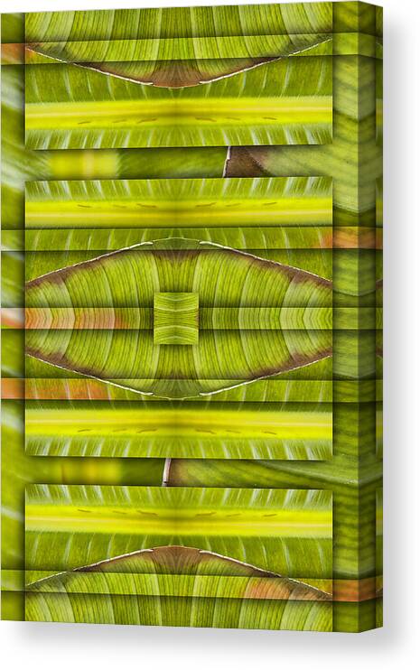 Tropical Canvas Print featuring the photograph Tropical Three by Carol Leigh