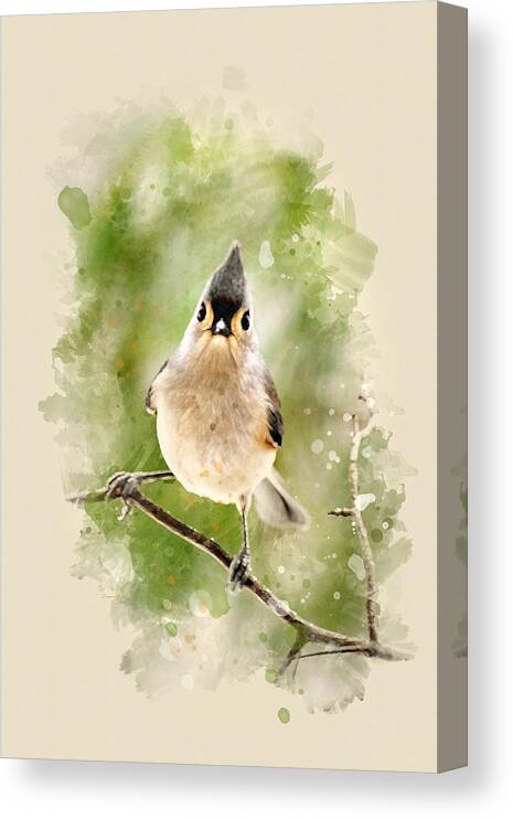 Bird Canvas Print featuring the mixed media Tufted Titmouse - Watercolor Art by Christina Rollo