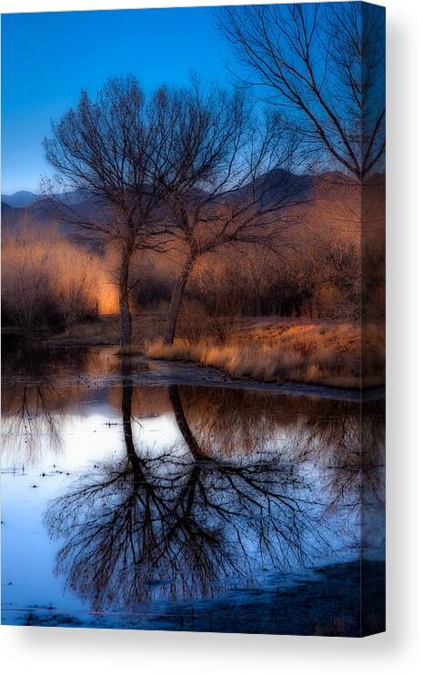 Bosque Del Apache Canvas Print featuring the photograph Twin Trees by Kristal Kraft