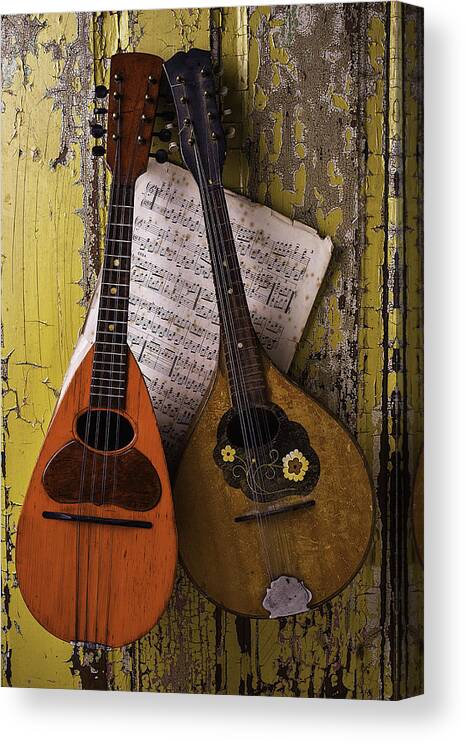 Two Canvas Print featuring the photograph Two Old Mandolins by Garry Gay