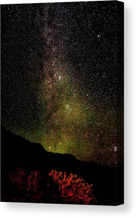 Milky Way Canvas Print featuring the photograph Under the Milky Way by Greg Norrell