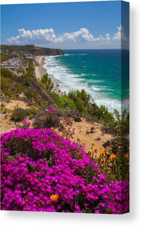 Dana Point Canvas Print featuring the photograph View of Strand Beach and Dana Point Headland by Cliff Wassmann