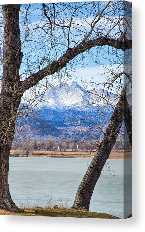 Longs Peak Canvas Print featuring the photograph View Through The Trees To Longs Peak by James BO Insogna