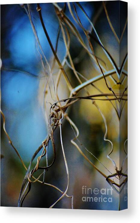 Vines Canvas Print featuring the digital art Vines in the Back Garden by Tamara Michael