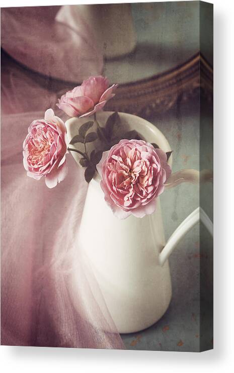 Rose Canvas Print featuring the photograph Vintage Pink by Amy Weiss