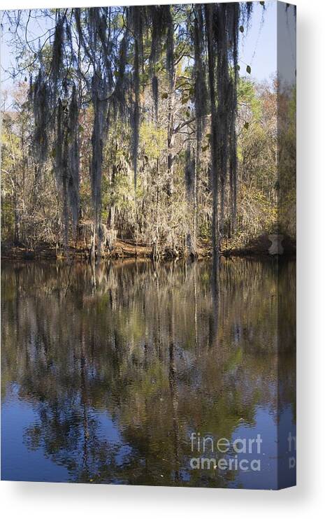 Waccamaw River Canvas Print featuring the photograph Waccamaw River Reflections by MM Anderson