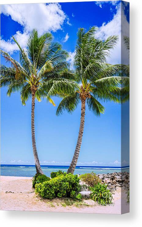 Waikiki Canvas Print featuring the photograph Waikiki's Twin Palm Trees by Aloha Art