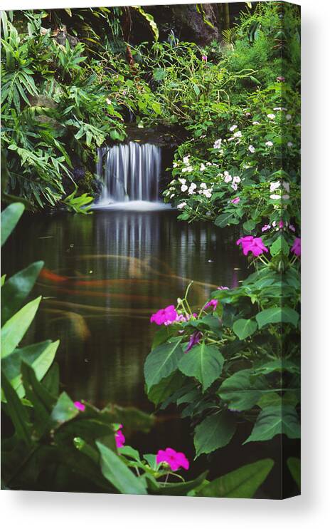 Active Canvas Print featuring the photograph Waimea Falls Park by Bill Brennan - Printscapes