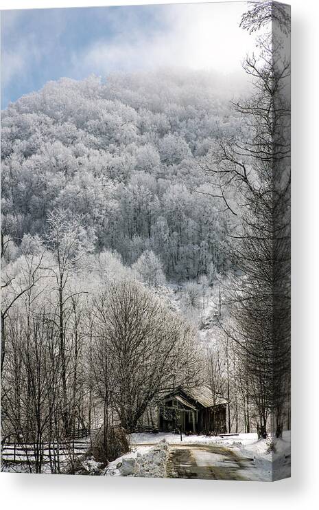 Snow Canvas Print featuring the photograph Waiting Out Winter by John Haldane