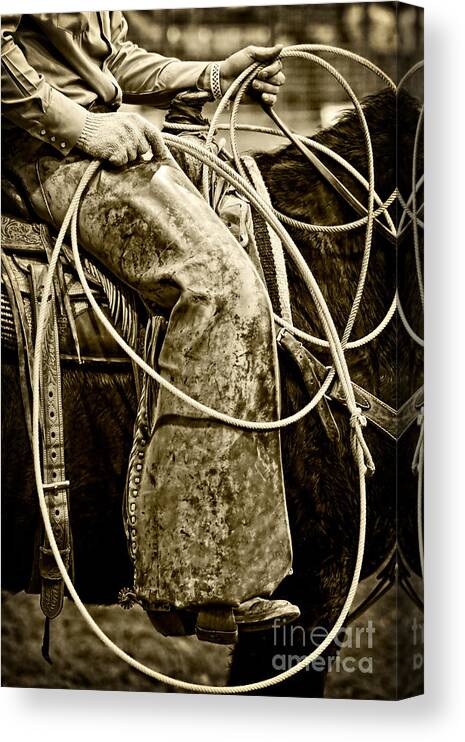 Cowboy Canvas Print featuring the photograph Waiting to Rope by Lincoln Rogers
