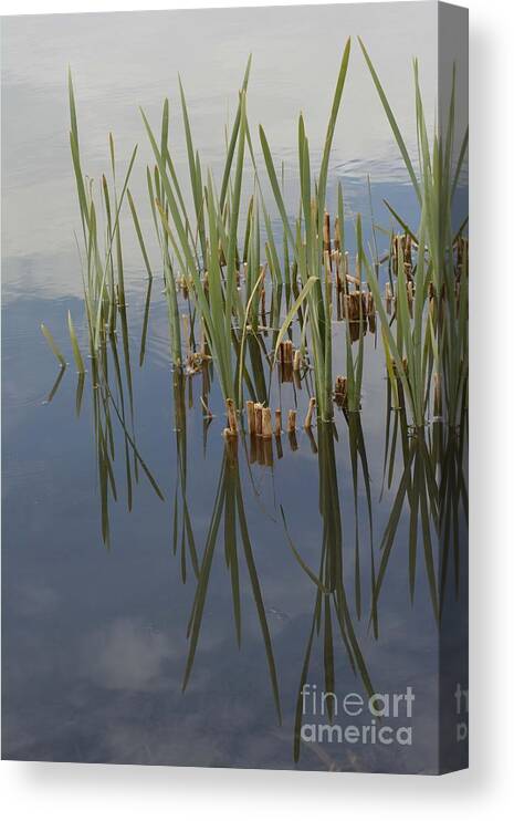 Water Canvas Print featuring the photograph Reflection by Angela Moyer
