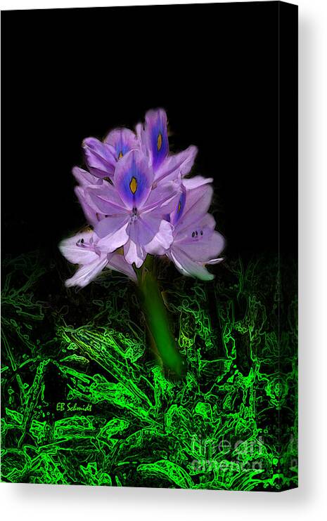 Water Hyacinth Canvas Print featuring the digital art Water Hyacinth by E B Schmidt