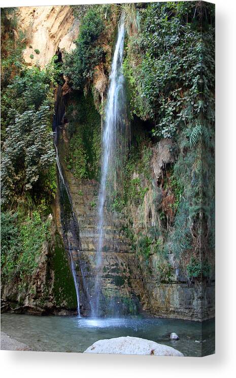 Waterfall Canvas Print featuring the photograph Waterfall at Ein Gedi by Doc Braham
