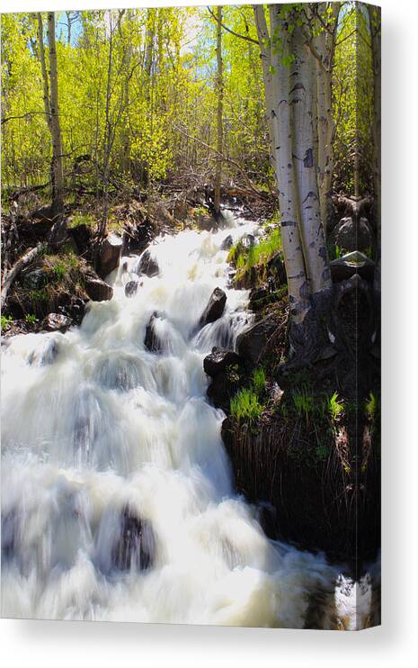 Waterfall Canvas Print featuring the photograph Waterfall By The Aspens by Shane Bechler