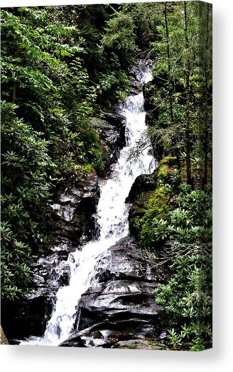 Waterfall Canvas Print featuring the photograph Waterfall on the Trail by Tara Potts