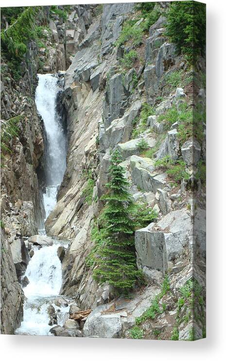 Waterfall Canvas Print featuring the photograph Waterfall by Susan Woodward
