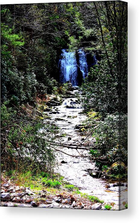Waterfall Canvas Print featuring the photograph Waterfall by Susie Weaver