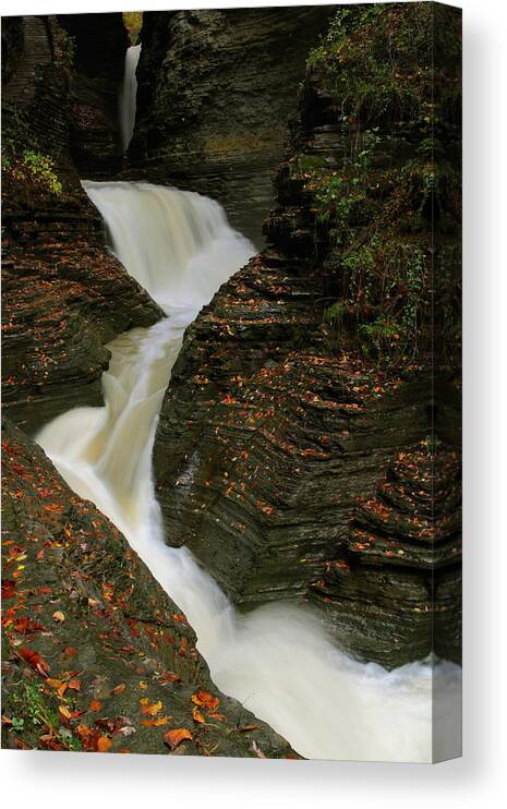 Watkins Canvas Print featuring the photograph Watkins Glen State Park in autumn by Jetson Nguyen