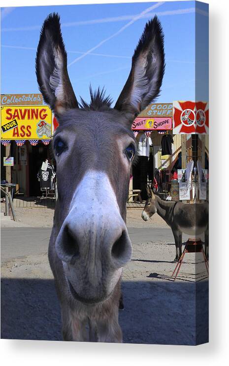 Donkey Canvas Print featuring the photograph What . . . No Carrots by Mike McGlothlen