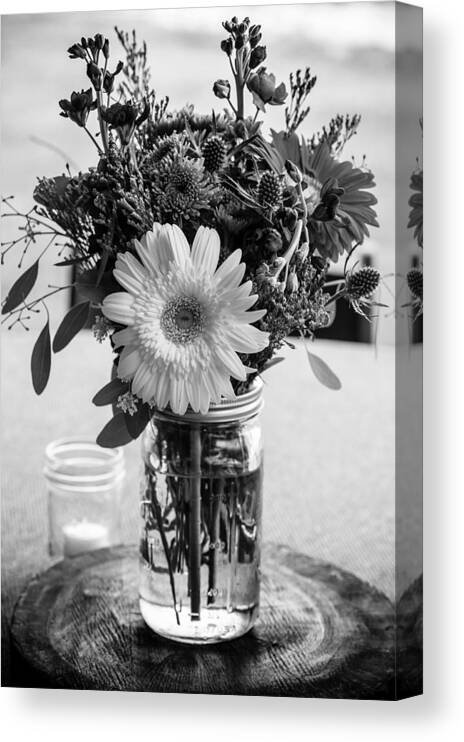 Daisy Canvas Print featuring the photograph White Black Beauty by Sheri Bartoszek