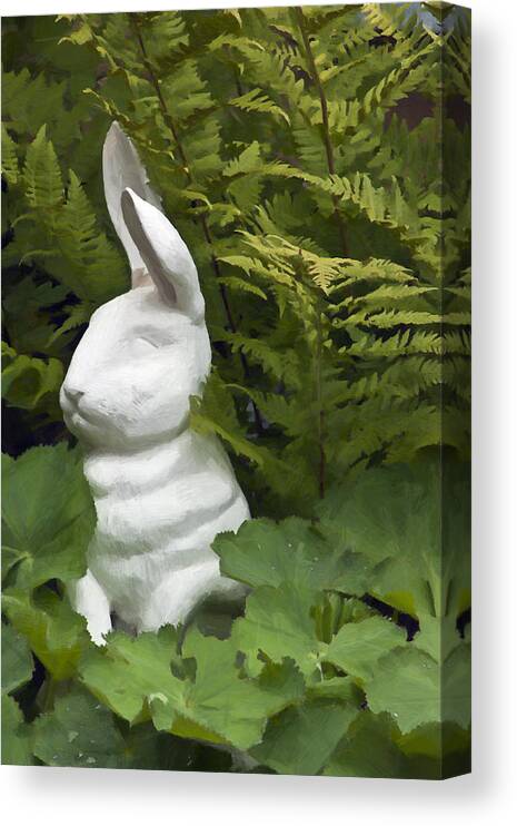 Rabbit Canvas Print featuring the photograph White Rabbit Among Lady's Mantel And Ferns by Sandra Foster