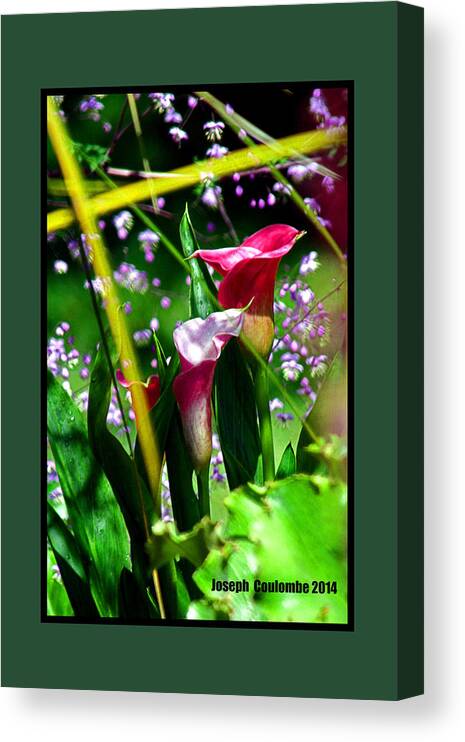 Wild Flowers Canvas Print featuring the digital art Wild Flowers Captured by Joseph Coulombe