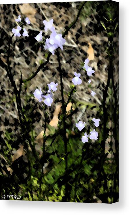 Spring Canvas Print featuring the painting Wild Lavender Flowers by George Pedro