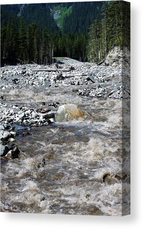 Nisqually River Canvas Print featuring the photograph Wild River by Edward Hawkins II