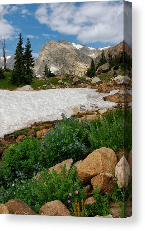 Landscape Canvas Print featuring the photograph Wildflowers in the Indian Peaks Wilderness by Ronda Kimbrow