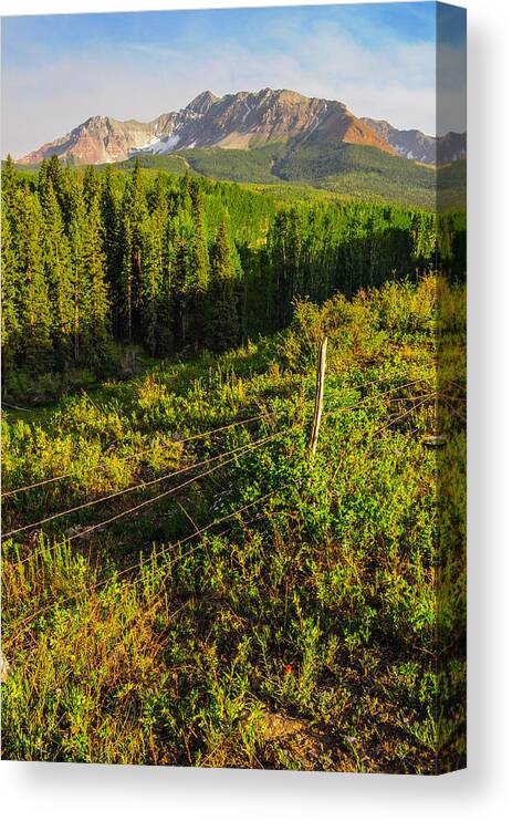 Wilson Canvas Print featuring the photograph Wilson Peak in Summer by Aaron Spong