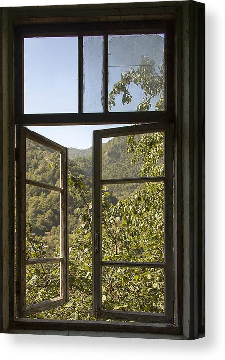 Window Canvas Print featuring the photograph Window by Gouzel -