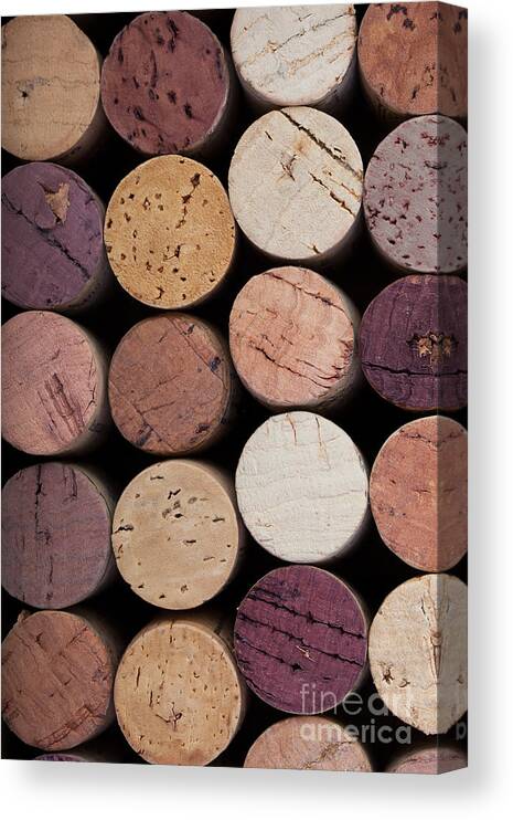 Alcohol Canvas Print featuring the photograph Wine corks 1 by Jane Rix