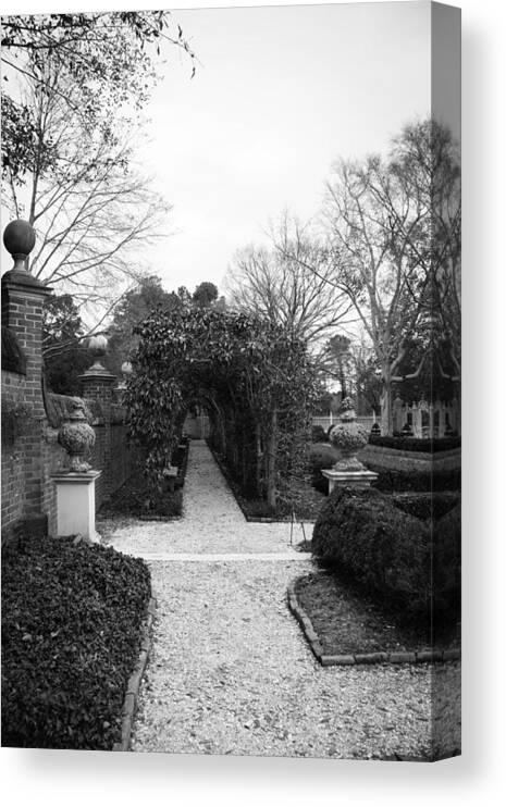 2013 Canvas Print featuring the photograph Winter Arbor at the Governors Palace by Teresa Mucha