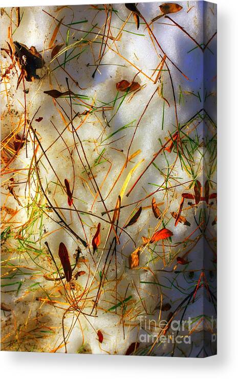 Abstract Canvas Print featuring the photograph Winter Design by Marcia Lee Jones