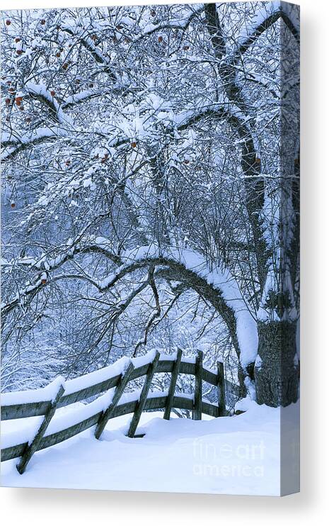 Winter Canvas Print featuring the photograph Winter Fence by Alan L Graham