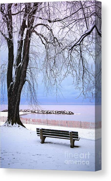 Winter Canvas Print featuring the photograph Winter park in Toronto 2 by Elena Elisseeva