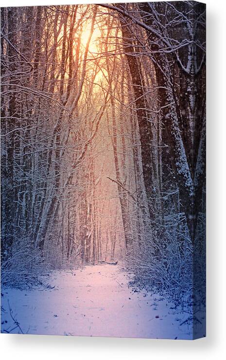 #winter Canvas Print featuring the photograph Winter Pathway by Rob Blair