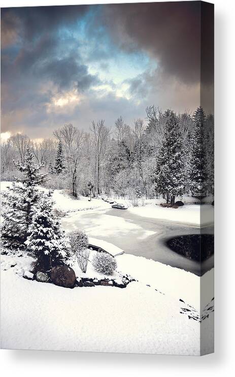 Winter Wonderland Picture Canvas Print featuring the photograph Winter Solace by Gwen Gibson