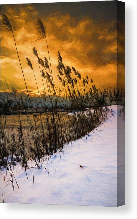 Lake Canvas Print featuring the photograph Winter sunrise through the reeds - Artistic by Chris Bordeleau