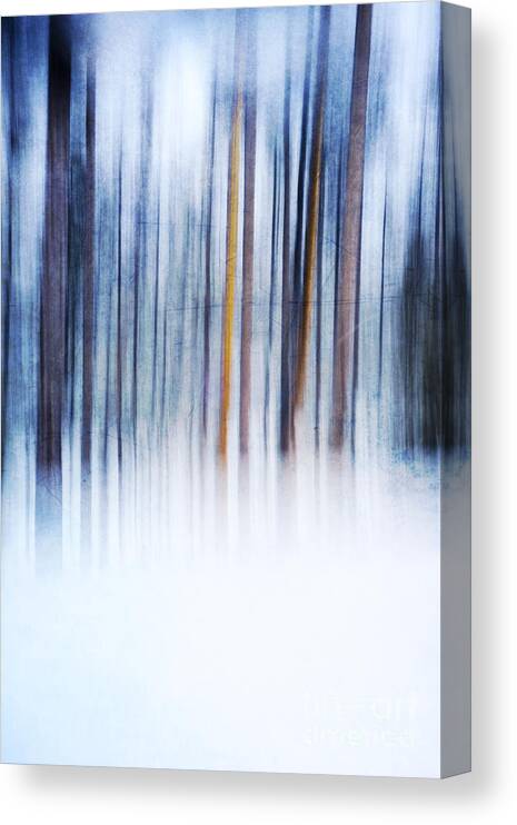 Tree Canvas Print featuring the photograph Winter Woodland by David Lichtneker