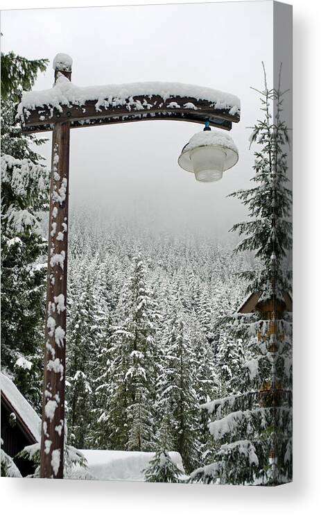 Winter Lamp Post Canvas Print featuring the photograph Winter's Lamp Post by Tikvah's Hope