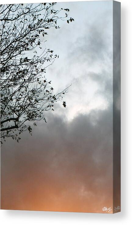Stormy Skies Canvas Print featuring the photograph Wipe by Laura Hol Art