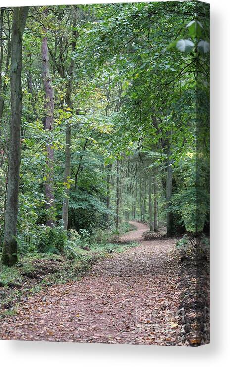 Tree Canvas Print featuring the photograph Woodland path by David Grant