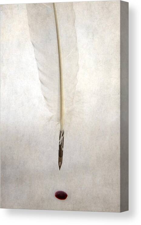 Feather Canvas Print featuring the photograph Writing With Blood by Joana Kruse