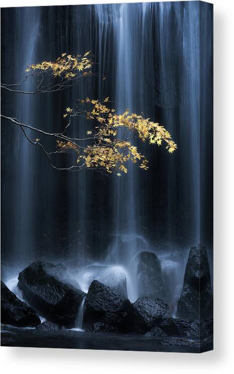 Autumn Canvas Print featuring the photograph Yellow Autumn by Yuki Yatsushima
